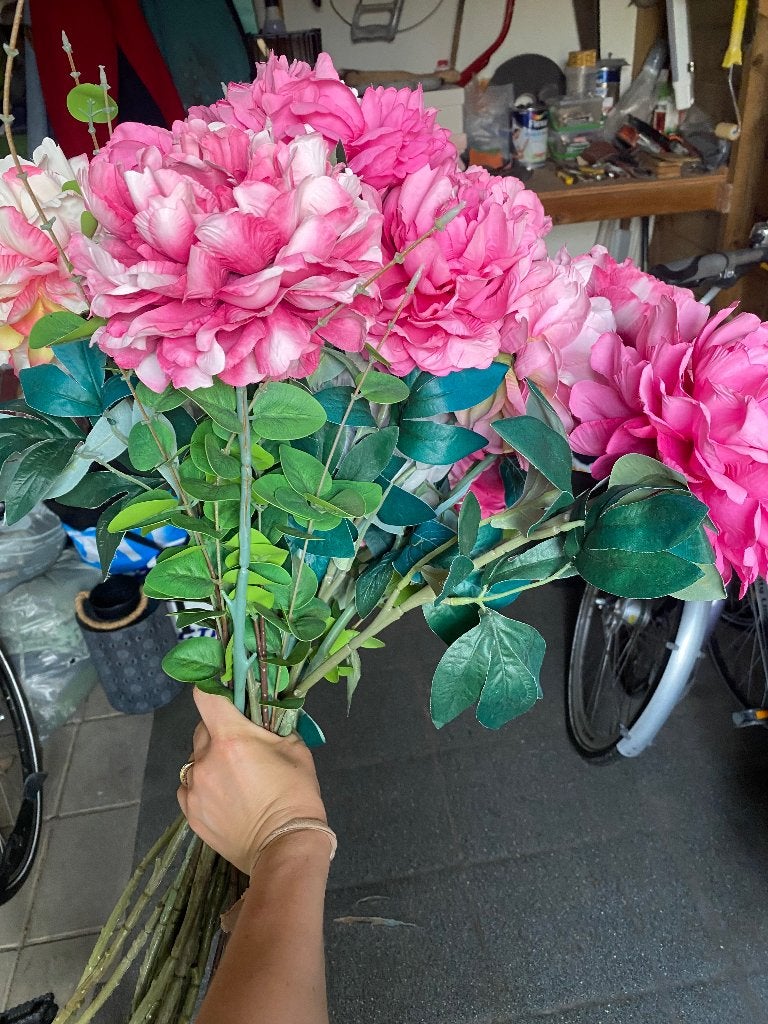 Grote bos nep bloemen, Ophalen