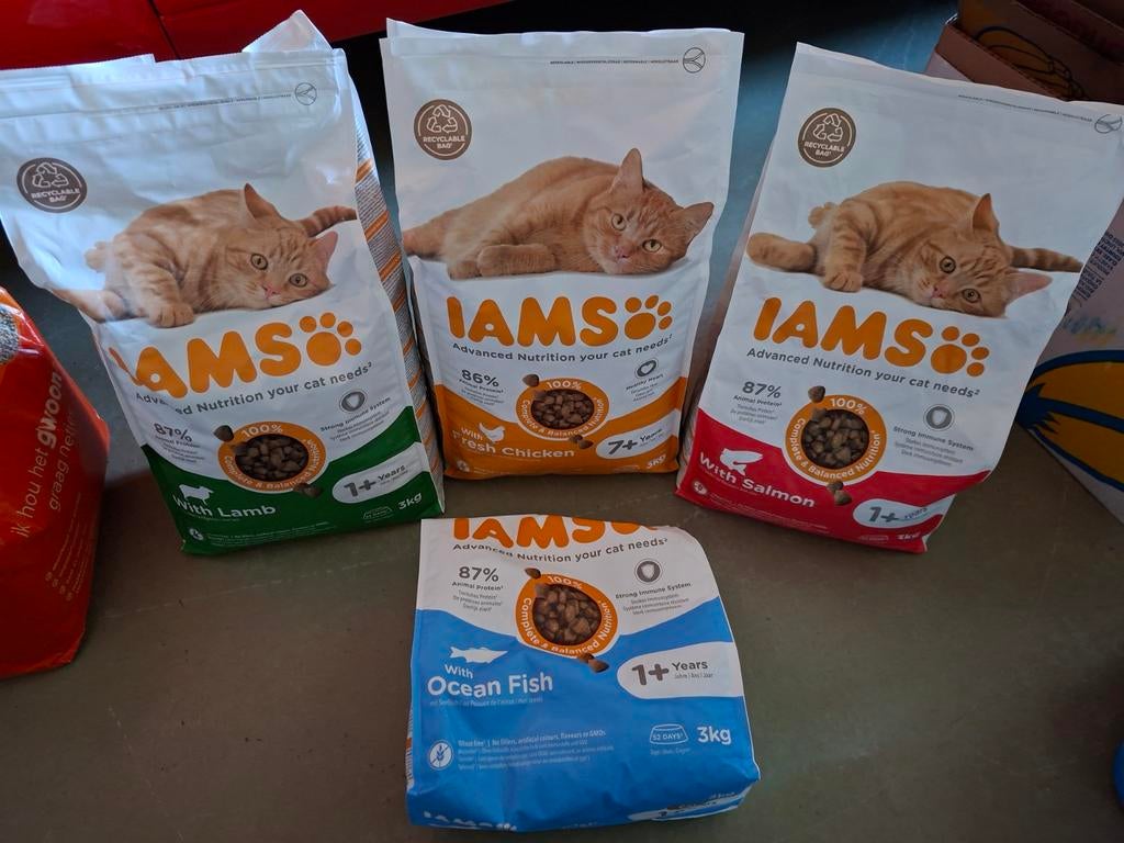 Iams kattenvoer lam / kip / zalm / ocean fish, Ophalen, Kat