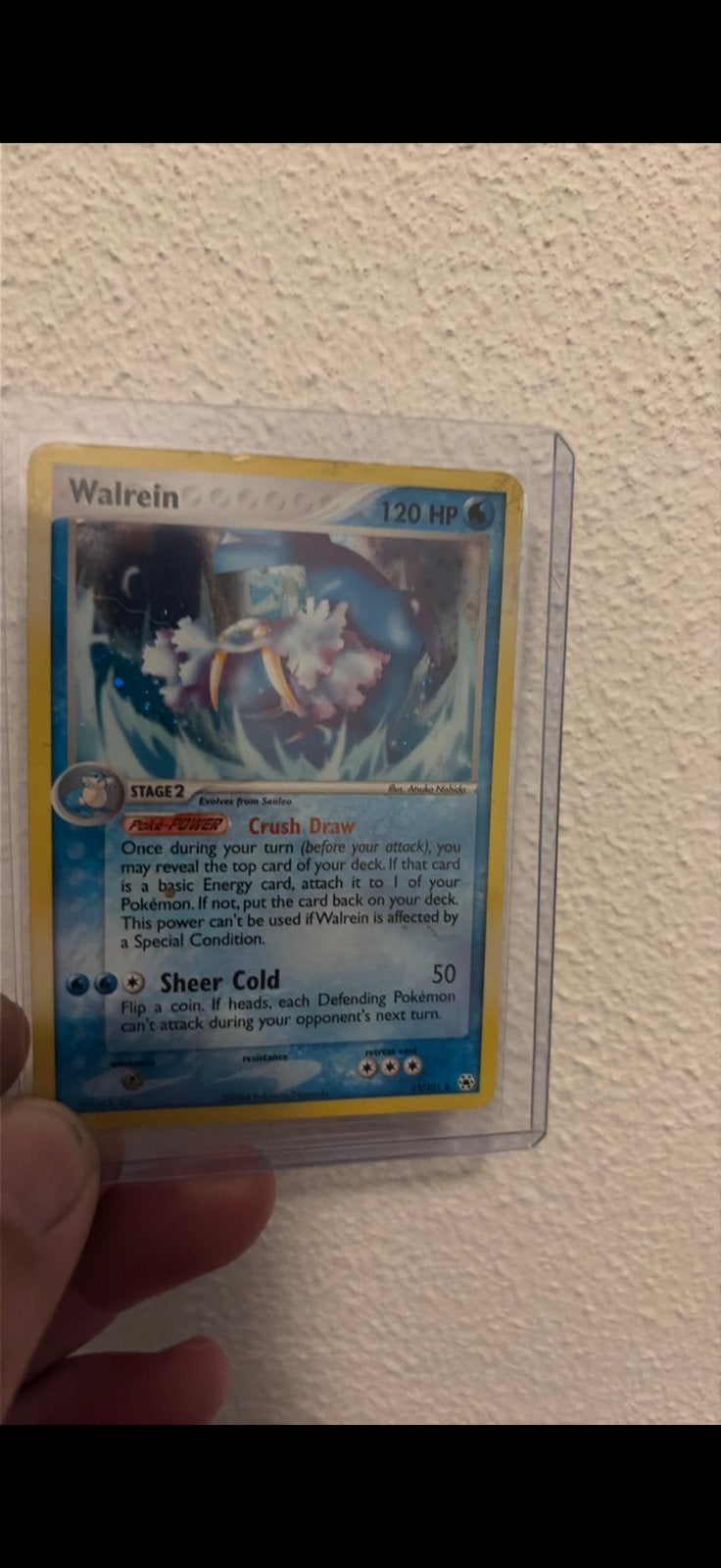 Pokémon Kaarten: Walrein, Totodile, Golem (3 stuks), Ophalen of Verzenden, Gebruikt, Meerdere kaarten, Foil