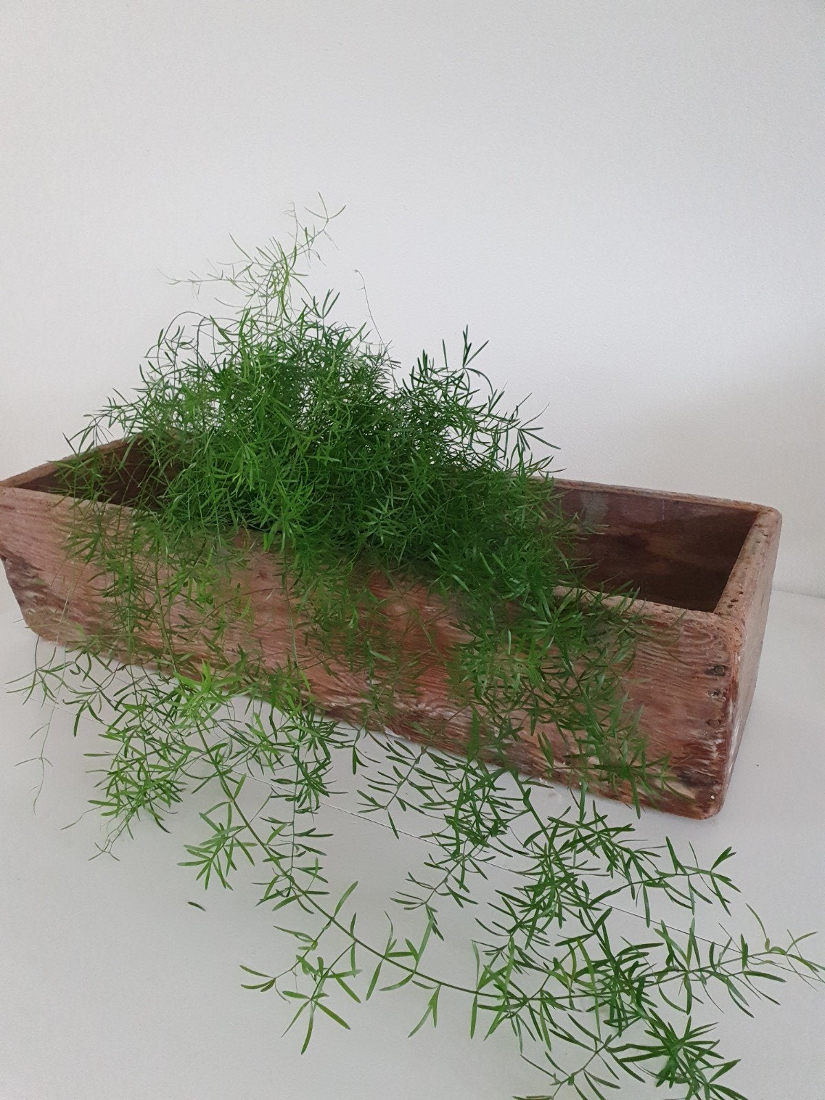 Mooie verweerde oude houten bak, Antiek en Kunst, Curiosa en Brocante, Ophalen of Verzenden