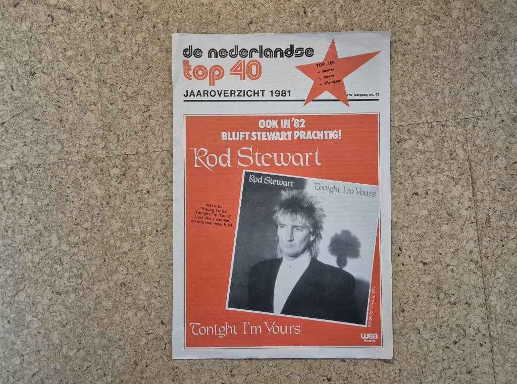 Nederlandse Top 40 Jaaroverzicht 1981, Ophalen of Verzenden, Gebruikt, Boek, Tijdschrift of Artikel