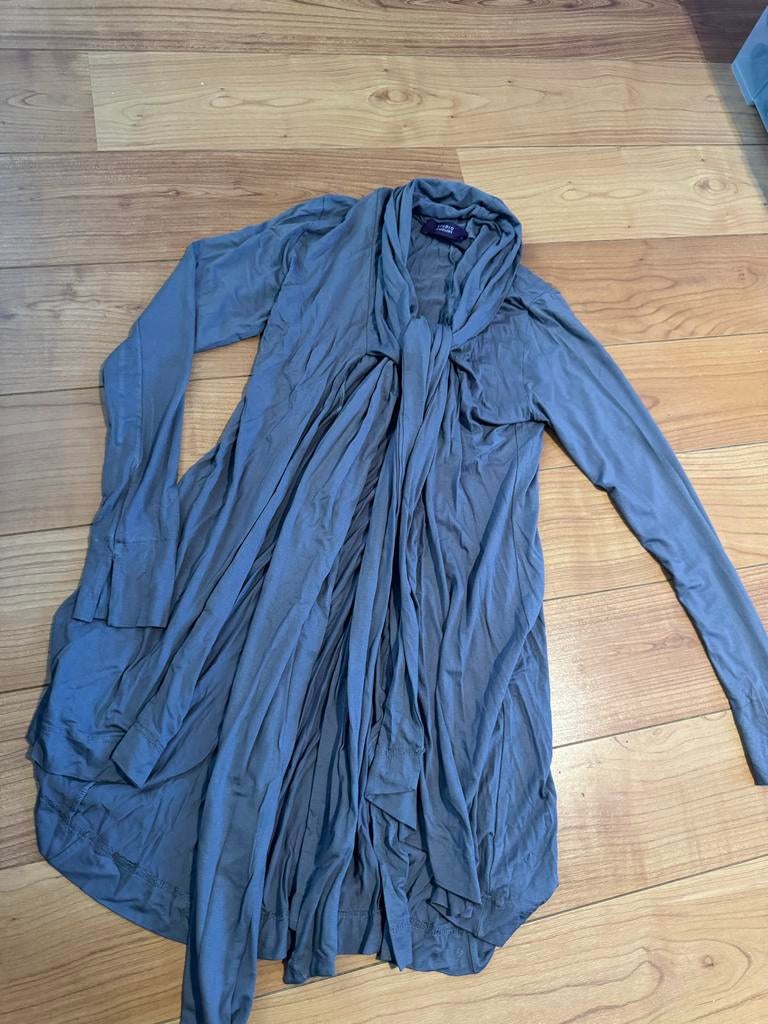 Schitterende Studio Anneloes vest maat M, Kleding | Dames, Ophalen of Verzenden, Zo goed als nieuw, Maat 38/40 (M), Grijs
