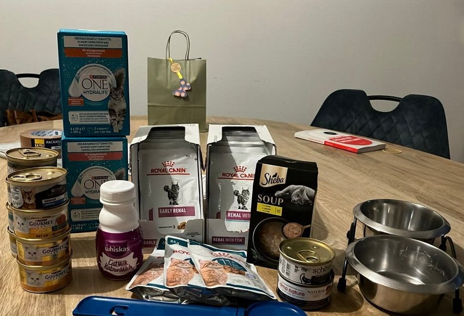 Kattenvoer oa royal canin, Ophalen of Verzenden, Kat