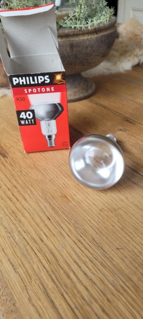 Philips Spotone R50 40W - Nieuw in doos!, 30 tot 60 watt, Gloeilamp, E14 (klein), Nieuw