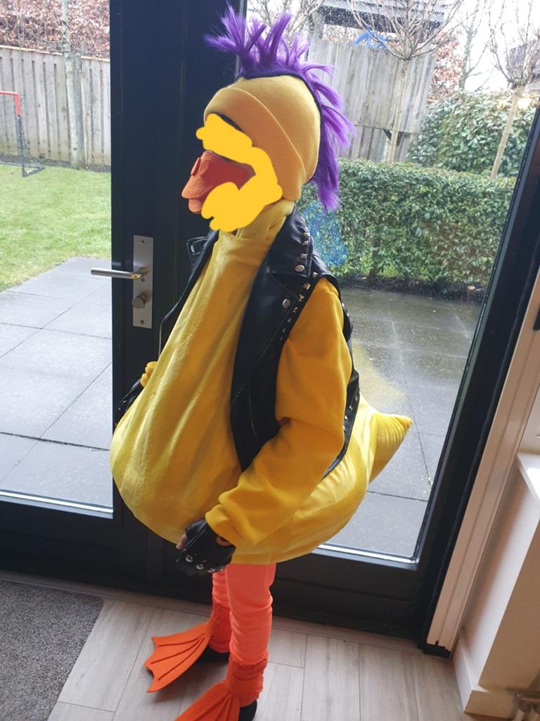 Eendenpakken, kleding carnaval (totaal nog 6 stuks), Ophalen of Verzenden