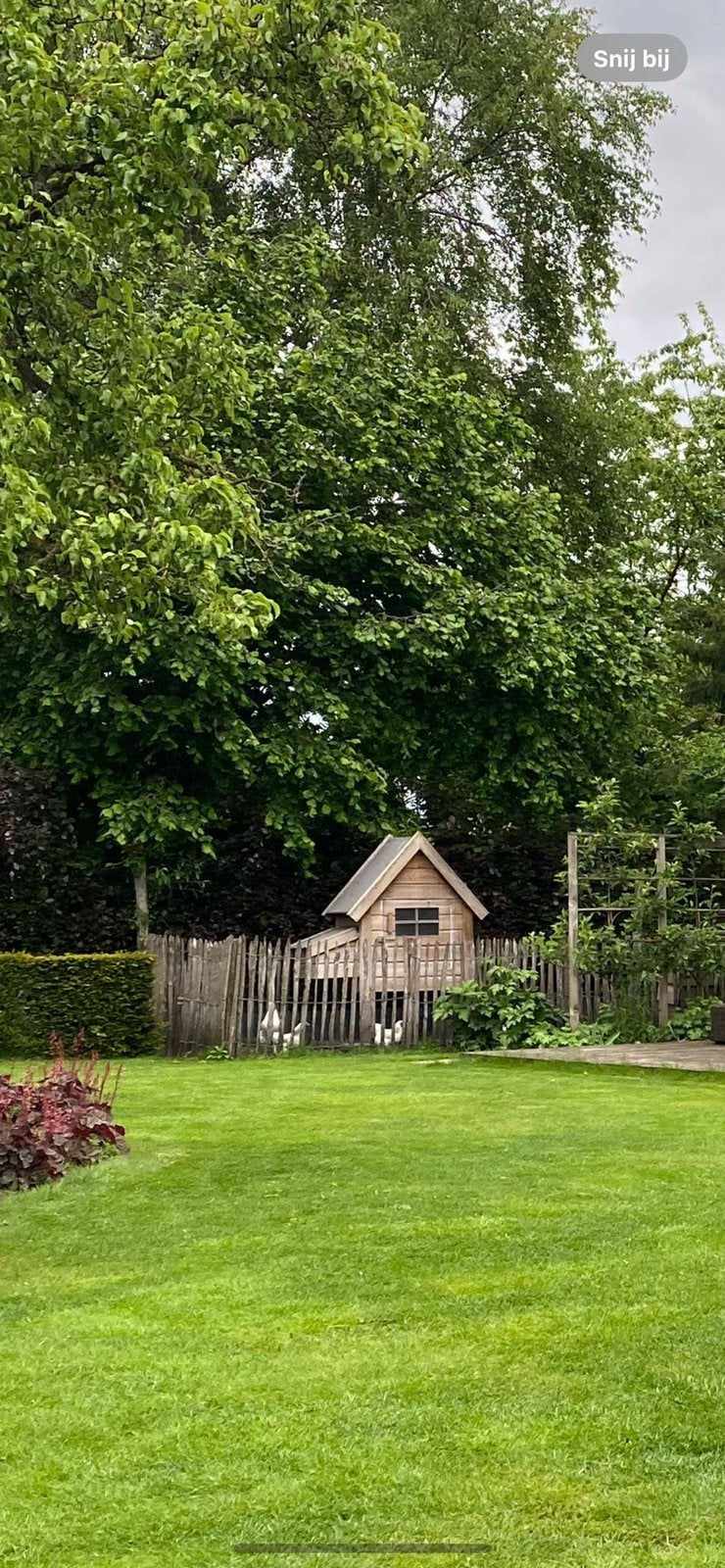 Kippenhok te koop (incl. elektrisch luik), Ophalen, Gebruikt, Kippenhok of Kippenren