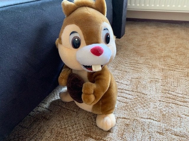 Knuffel eekhoorn babbel 40 cm zgan, Ophalen of Verzenden, Zo goed als nieuw, Overige typen