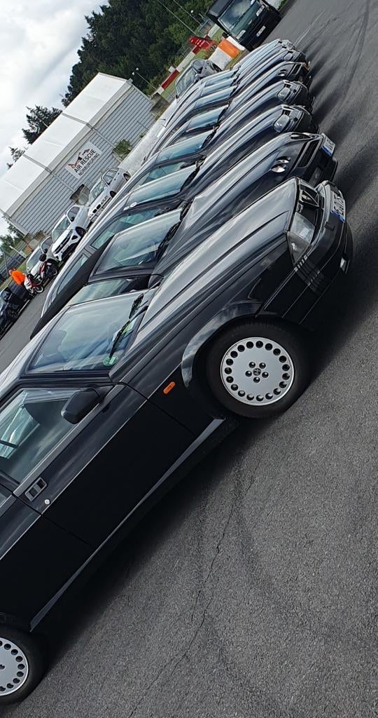 Deur Alfa Romeo 75 links/bestuurder, Ophalen