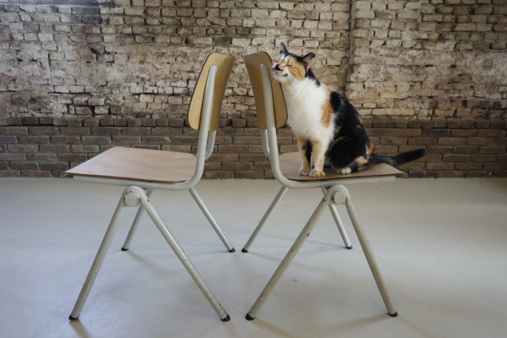 Vintage Galvanitas S35 schoolstoelen vanille/bicolor, Huis en Inrichting, Ophalen, Gebruikt, Wit, Industrieel, Mid-century, Vintage, Schoolstoel