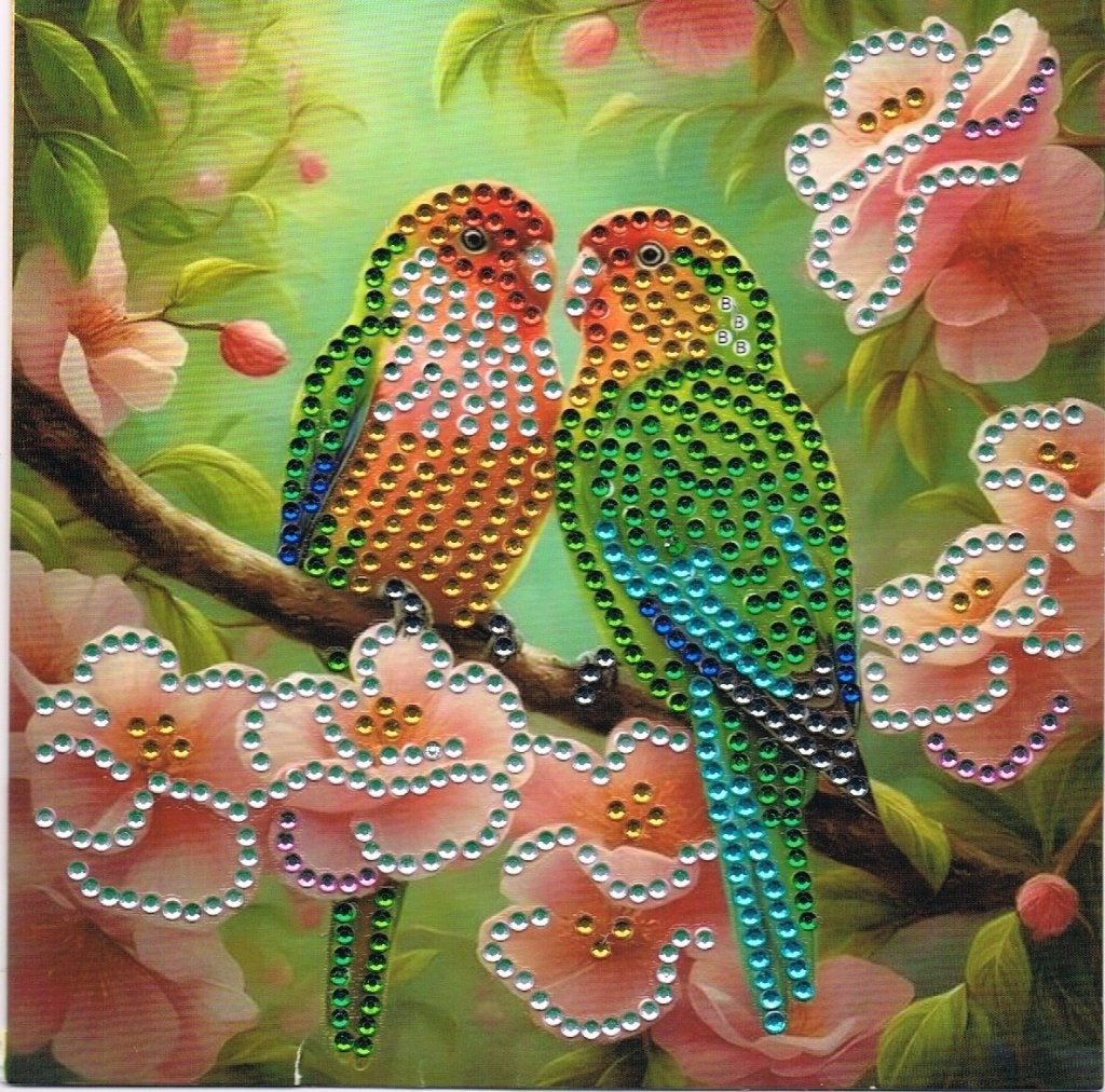 diamant painting papegaai, Ophalen of Verzenden, Nieuw, Dieren