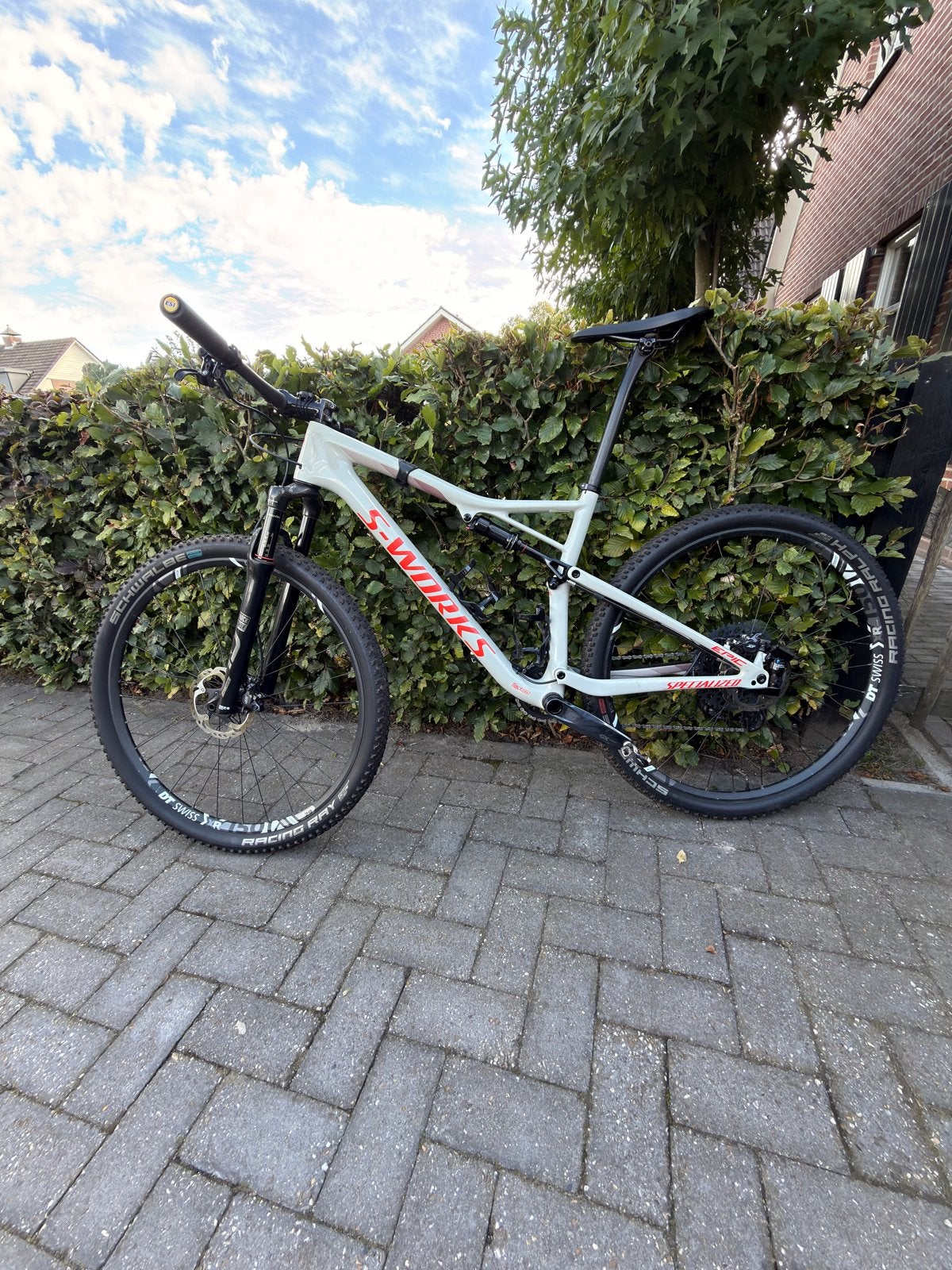 S-Works Epic Carbon| L |GX AXS|XT|RockShox Ultimate Brain