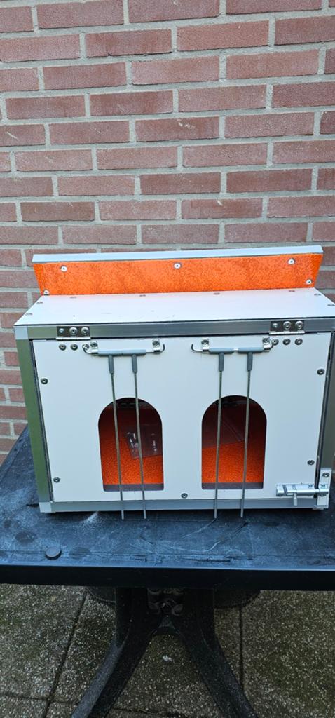 Val klep voor postduiven, Mannelijk, Postduif