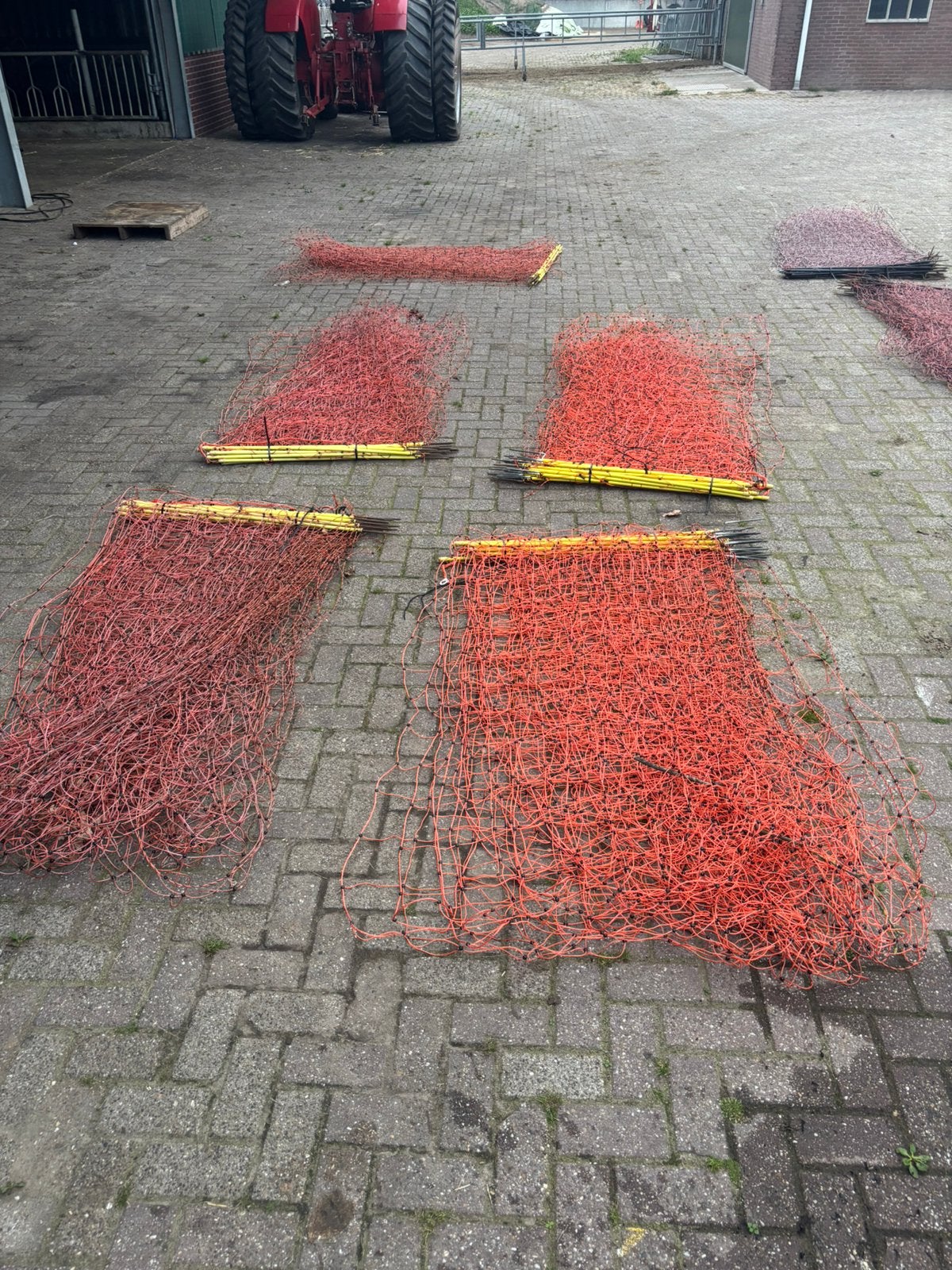 Schapengaas afrastering 50 meter, Opfok