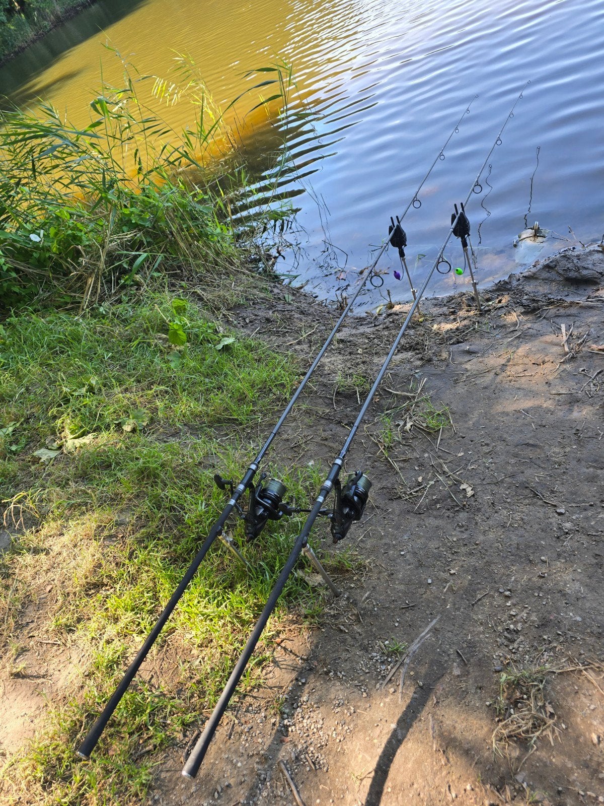 SHIMANO CARP TRIBAL TX-2 12FT 2.75LB  3 stuks, Ophalen, Zo goed als nieuw, Werphengel
