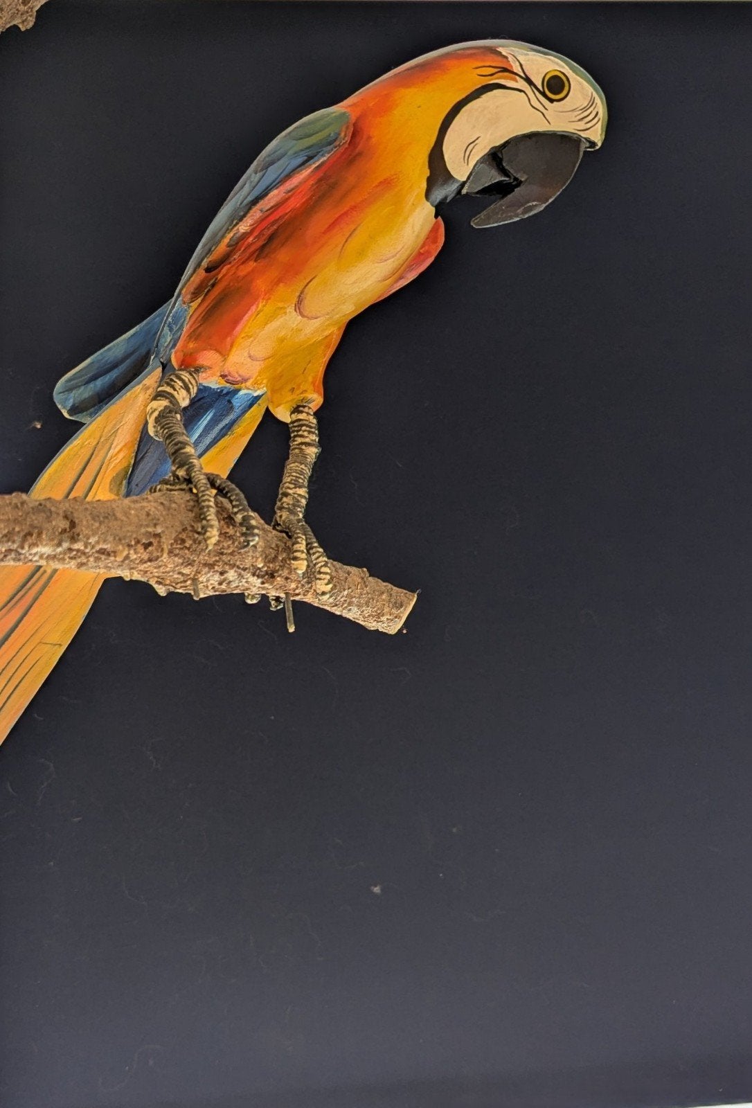 *ARARA* PAPEGAAI, hout gesneden in EMBU   Brazilië, Antiek en Kunst, Kunst | Beelden en Houtsnijwerken, Houtsnijwerk, Handgemaakt