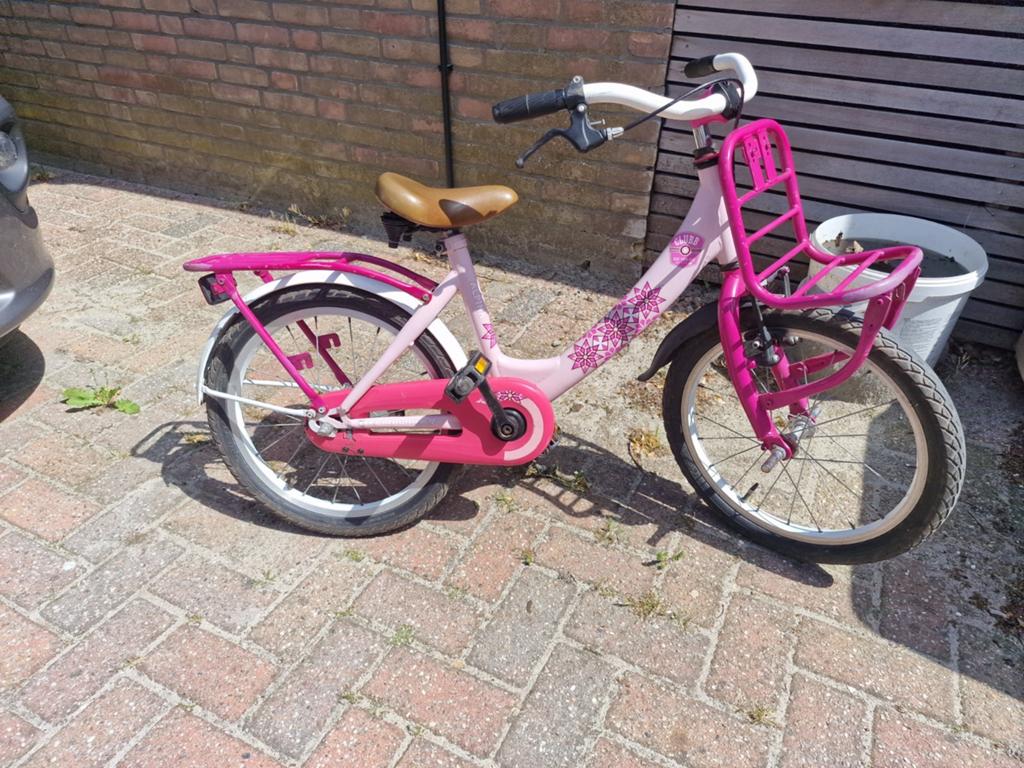 Alpina Clubb meisjesfiets 18 inch - Roze met voordrager, Ophalen, Terugtraprem, Gebruikt, Alpina