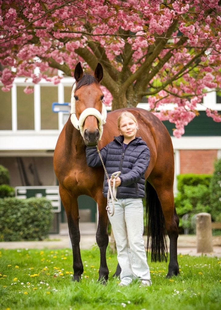 Verzorg pony gezocht, Ophalen of Verzenden, Nieuw