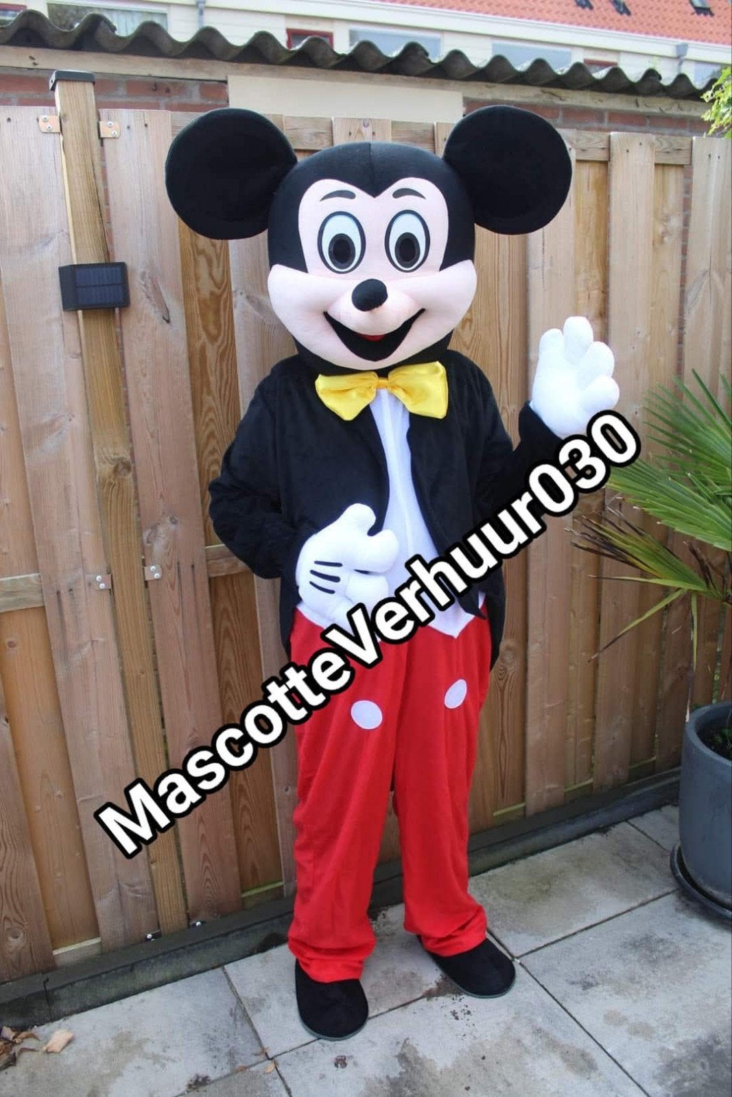 Mickey huren mascotte pak acteur op huisbezoek verjaardag, Ophalen, Zo goed als nieuw, Verjaardag