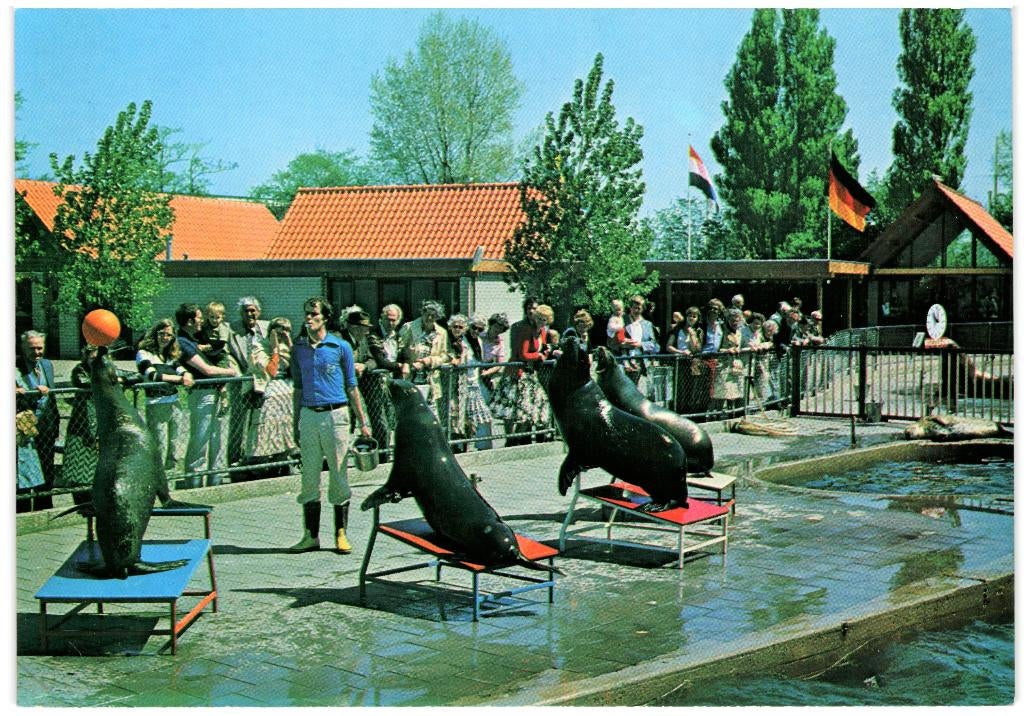 801472 Harderwijk 1978 Dolfinarium Robarium  Onbeschreven, Ophalen of Verzenden, 1960 tot 1980, Ongelopen, Gelderland