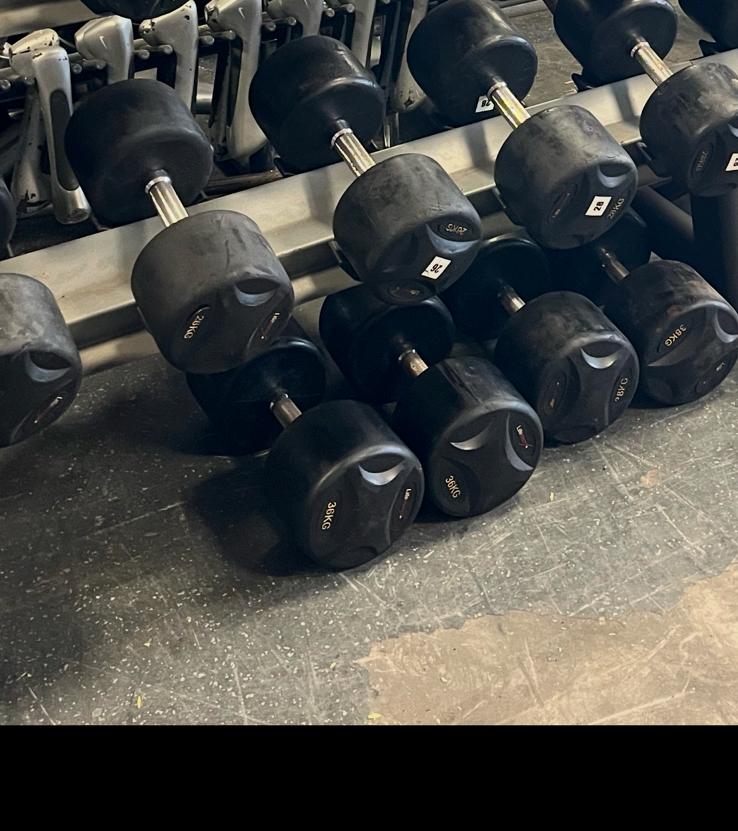 Lifemaxx rubberen dumbbells 24-38 kg dumbbell set, Ophalen, Dumbbell, Gebruikt, Dumbbells