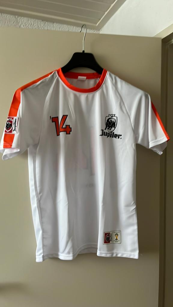 Voetbal shirt mt L.  Nederlands elftal z.g.a.n., Maat L, Ophalen of Verzenden, Zo goed als nieuw, Shirt