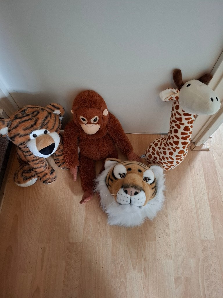 Dierenkoppen, Overige merken, Overige typen, Ophalen of Verzenden, Zo goed als nieuw