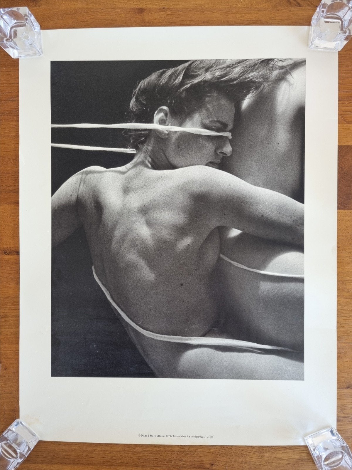 Diana Blok & Marlo Broekmans 'Horses 1979' Poster Art Print, Ophalen, Reproductie, Fotografie