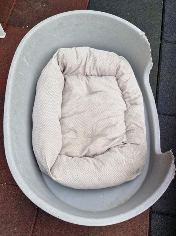 Hondenbak voor bijkeuken, schuur etc. gratis, Ophalen, Gebruikt, Onbekend, Onbekend