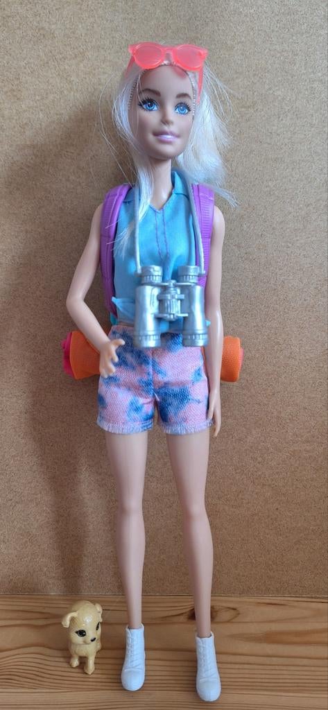 Barbie 'Malibu' Camping Pop, Ophalen of Verzenden, Zo goed als nieuw, Barbie