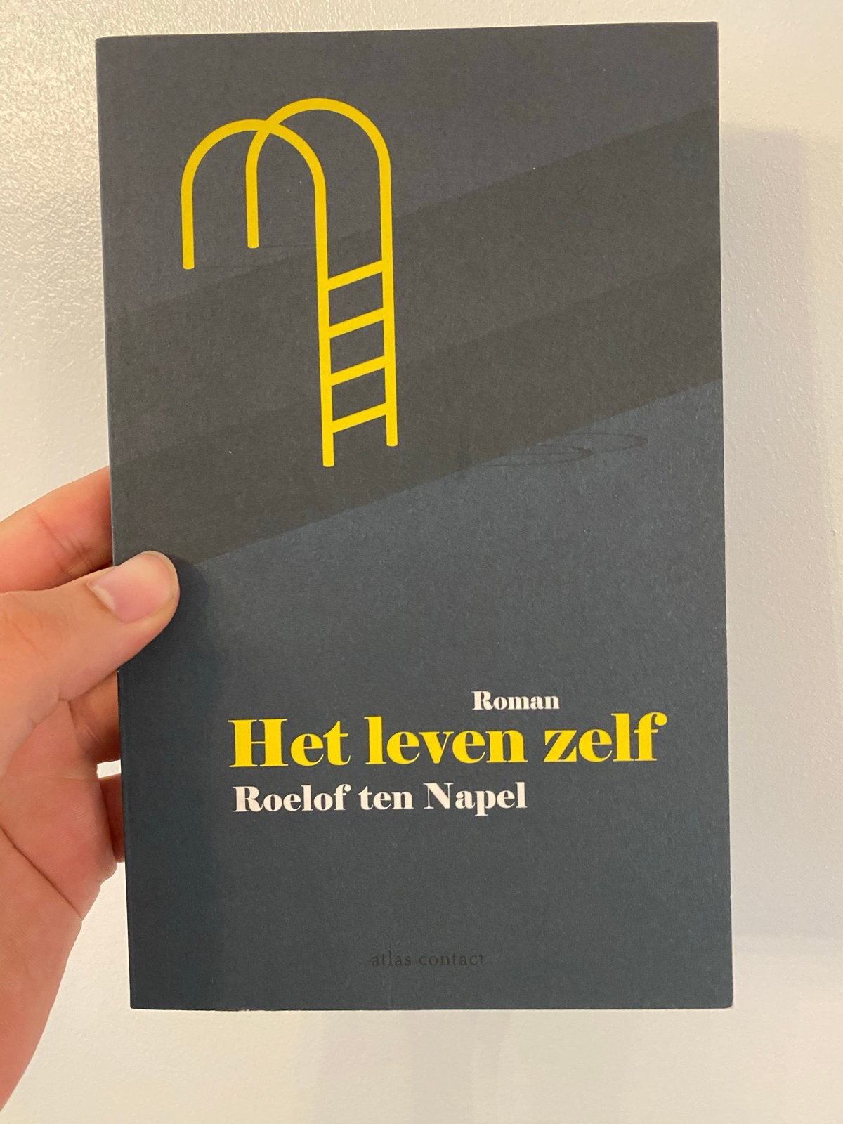 Het leven zelf - Roelof ten Napel (Roman), Ophalen of Verzenden, Zo goed als nieuw, Nederland