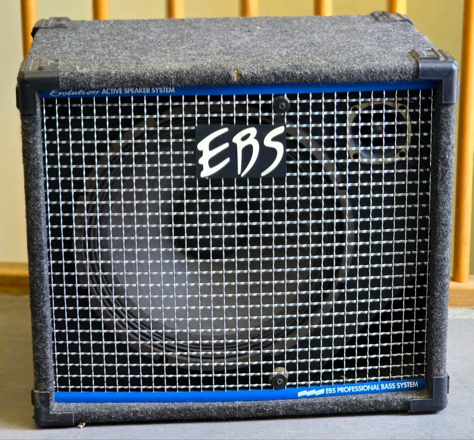 EBS AC 300 – Actieve 15" Basgitaar Cabinet, Muziek en Instrumenten, Ophalen, Gebruikt, 100 watt of meer, EBS