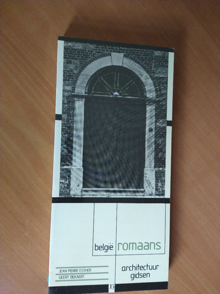 Architectuurgids Romaans in Belgie, Ophalen of Verzenden, Zo goed als nieuw, Architecten