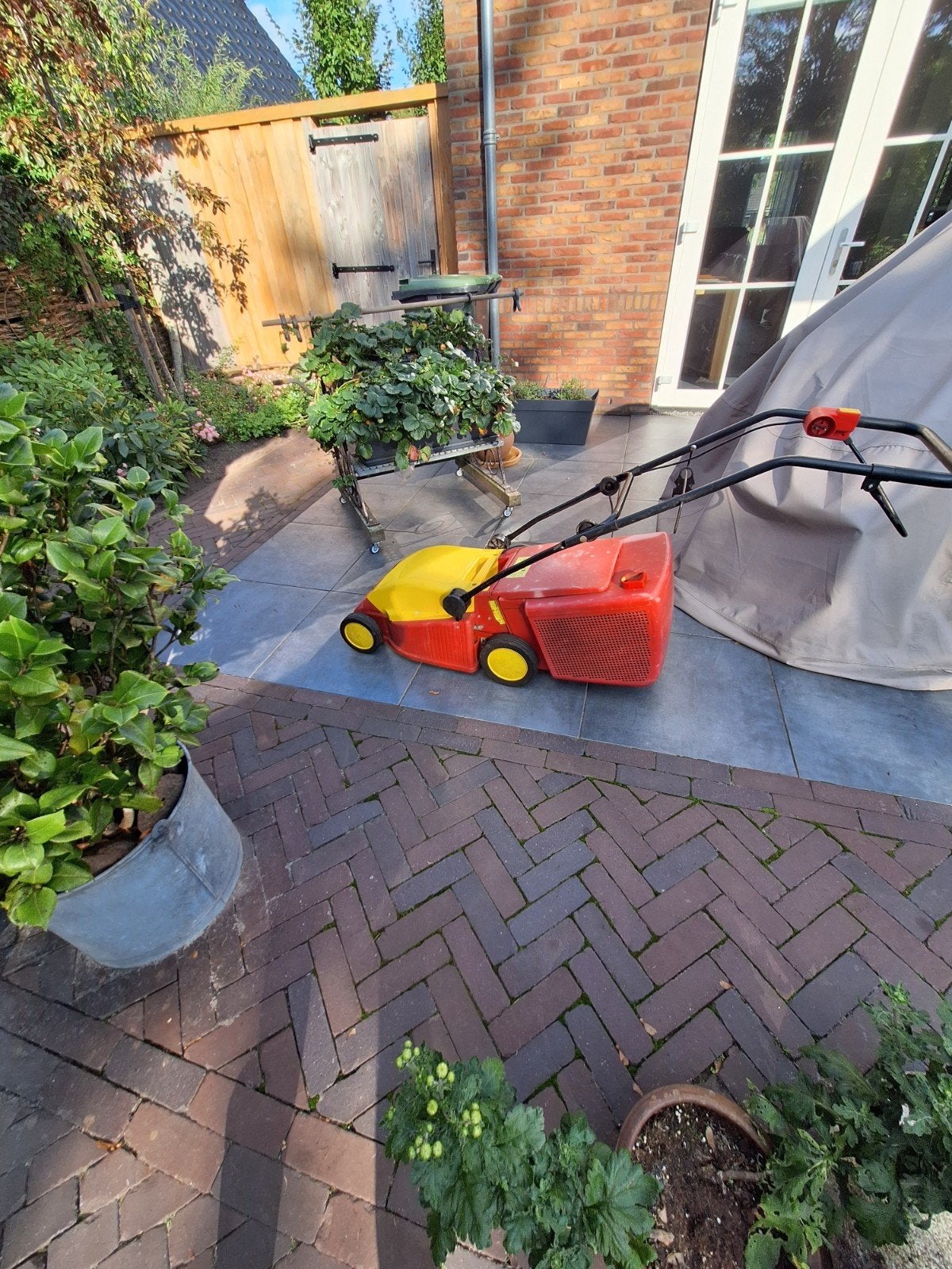 wolf grasmaaier, Tuin en Terras, Cirkelmaaier, Gebruikt, Elektrische grasmaaier, Ophalen of Verzenden
