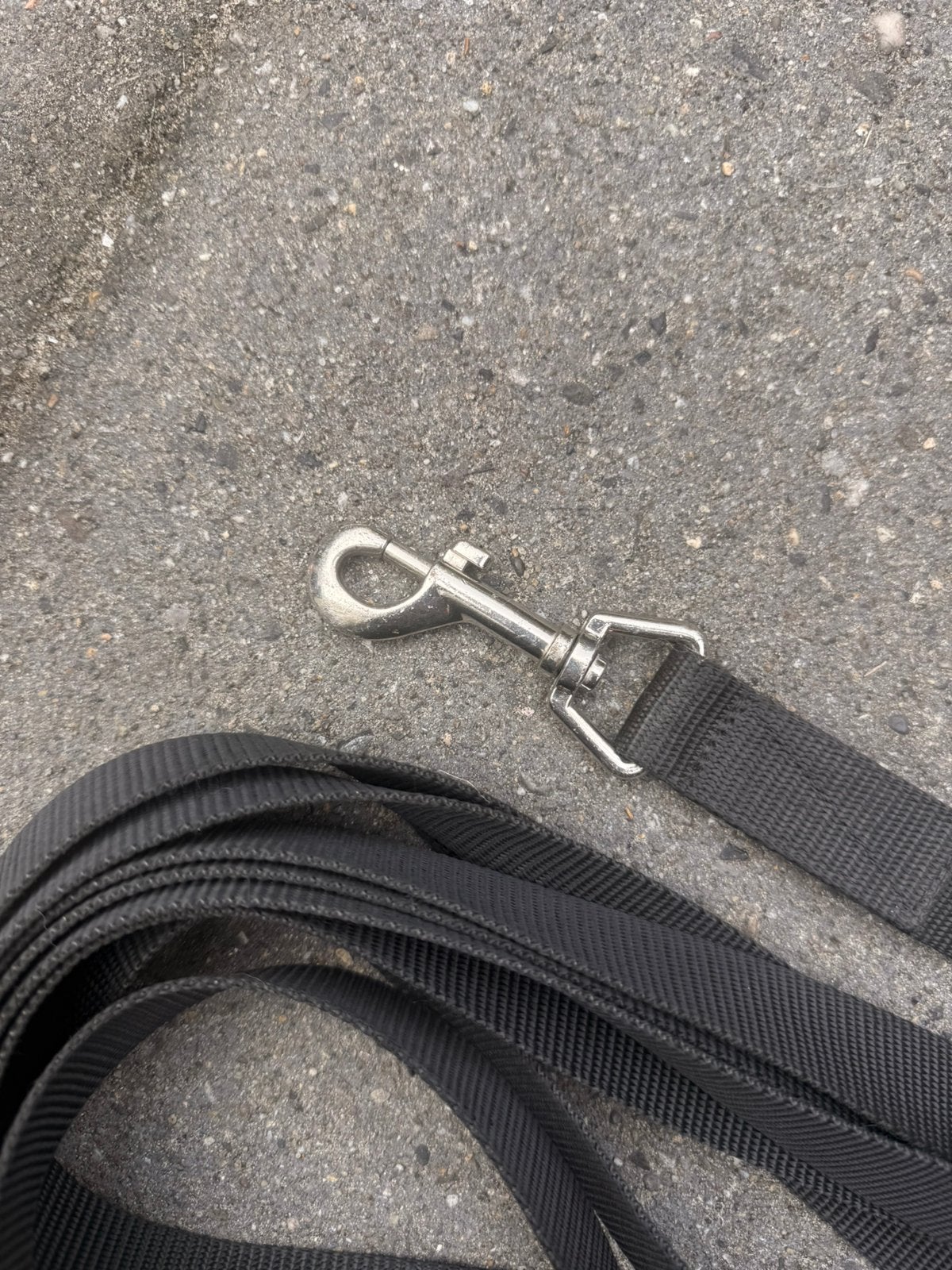 Honden lijn riem 10 meter, Ophalen of Verzenden, Zo goed als nieuw