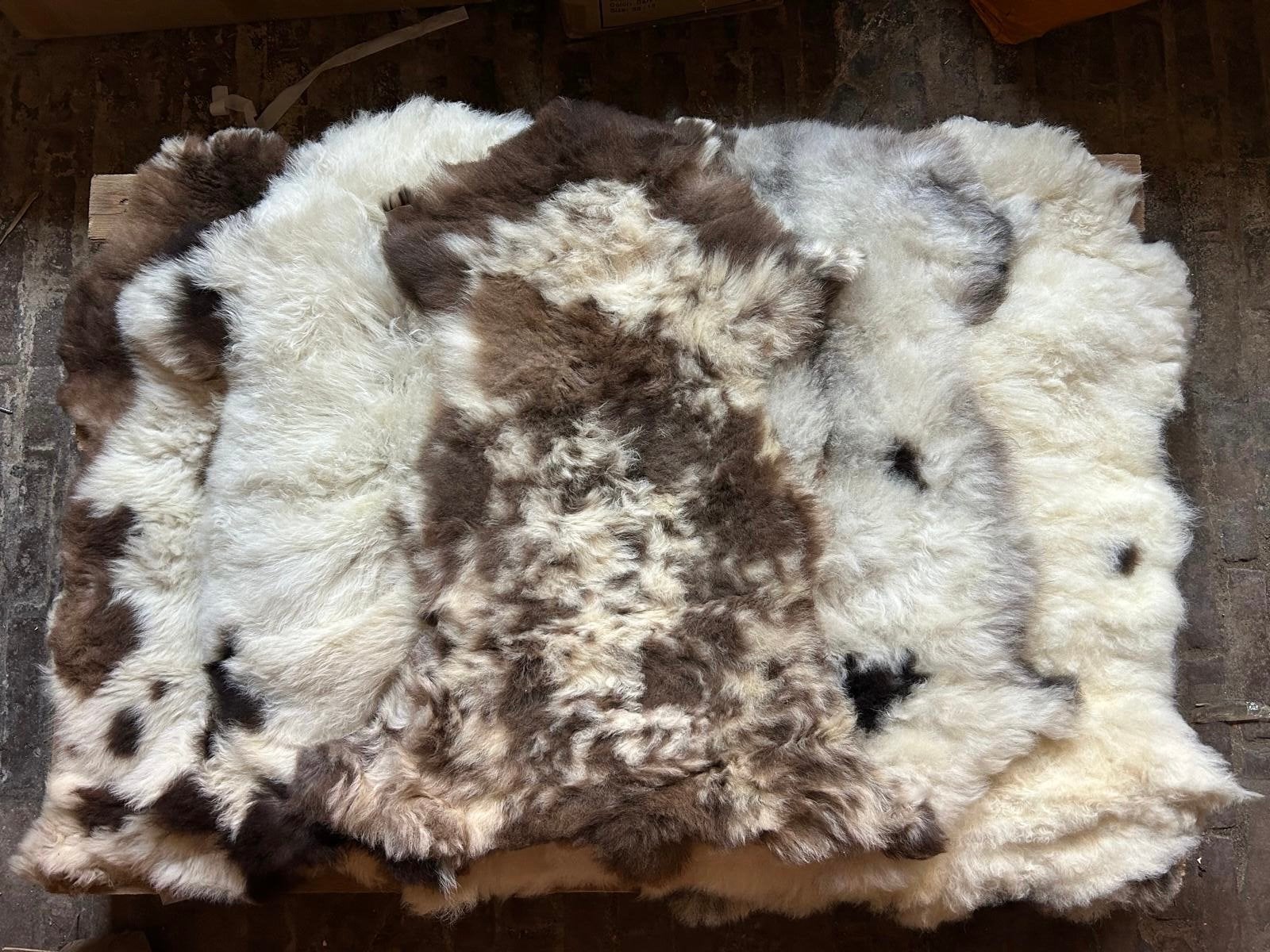 Ecologische schapenvachten, diverse kleuren, Minder dan 50 cm, 50 tot 100 cm, Wit, Nieuw