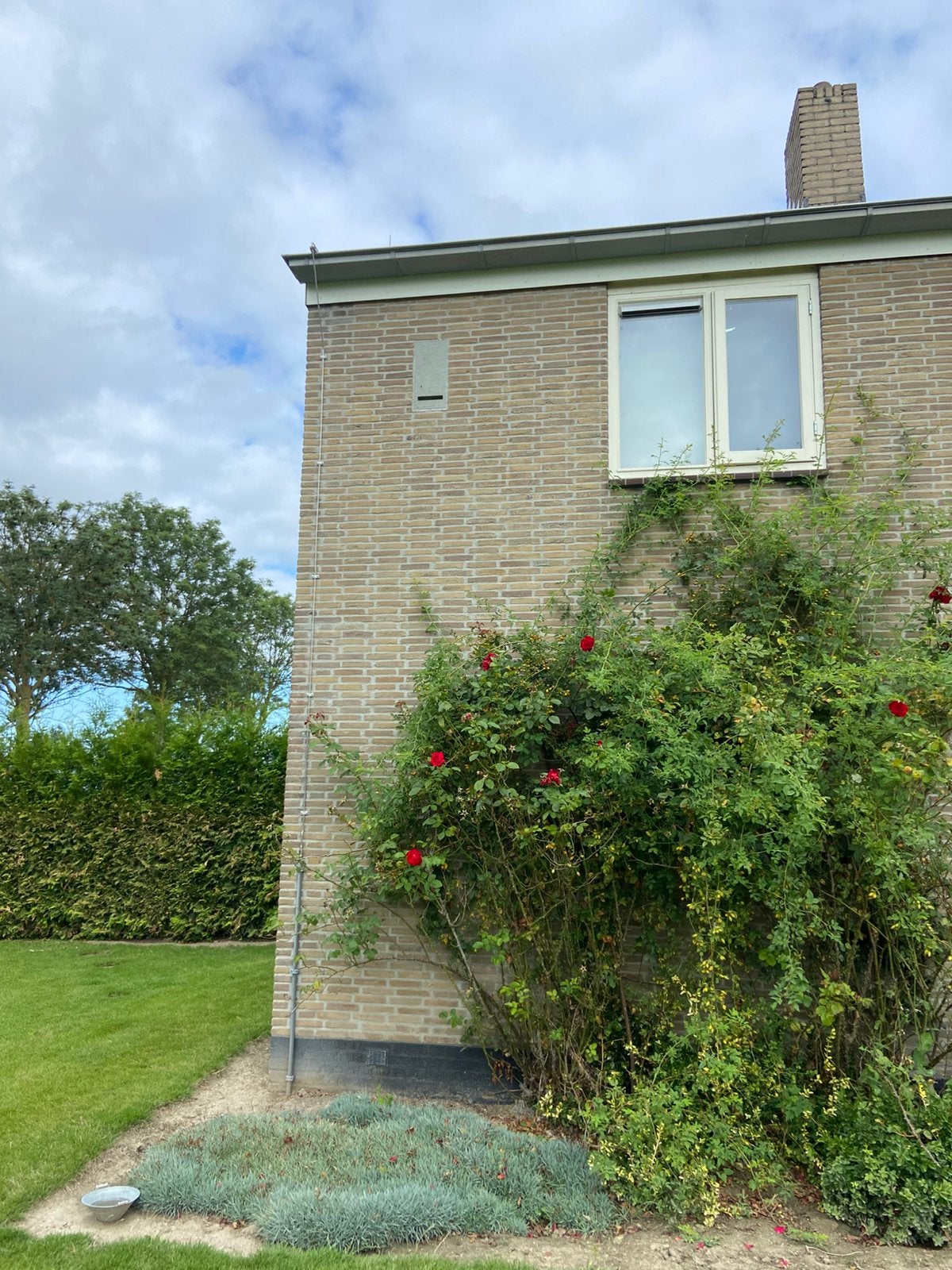 Onderdak aangeboden in ruil voor ons helpen, 20 tot 35 m², Overige regio's