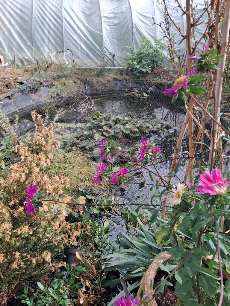 VIJVER, Ophalen, Gebruikt, Vijverpomp