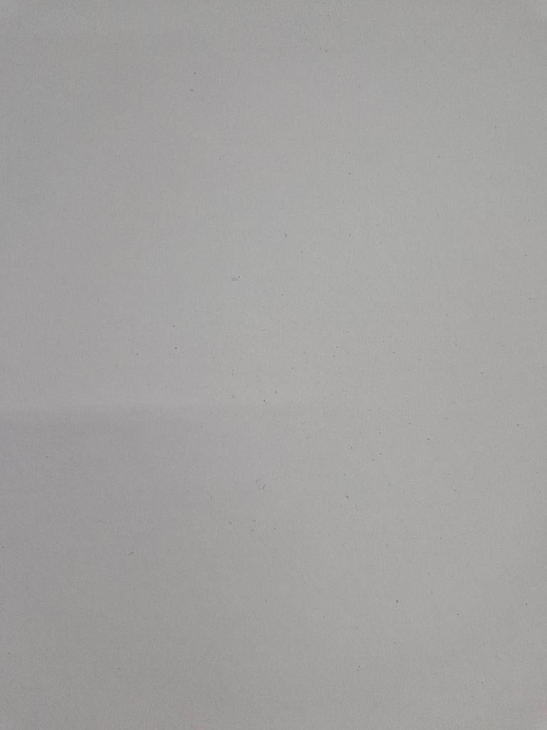 HPL fineer Platina wit 250x131cm ( 528 ), Doe-het-zelf en Verbouw, Platen en Panelen, Ophalen, HPL, Nieuw, Nb