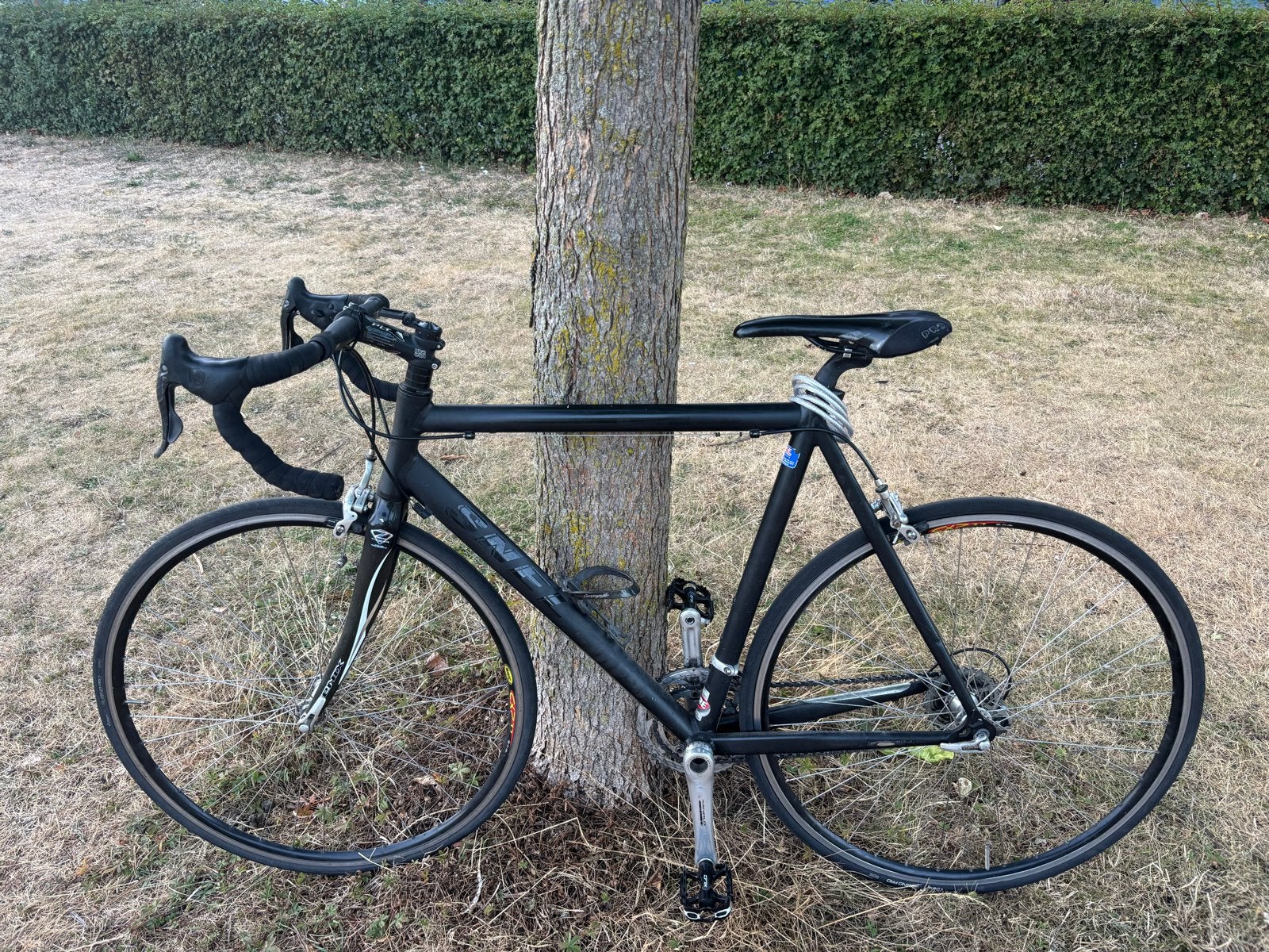 Snel racefiets met Campagnolo Centaur 10-speed, 28 inch, Gebruikt, 10 tot 15 versnellingen, Aluminium