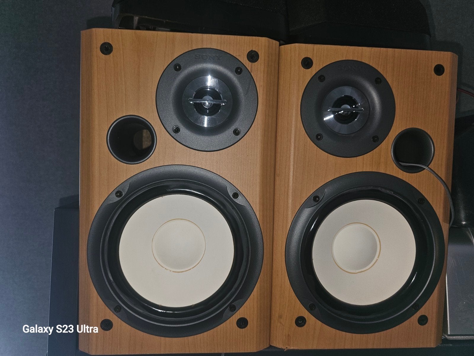 Sony CCP300S Speakers - Rubber rot, Ophalen, Gebruikt, Inclusief kabels, Sony