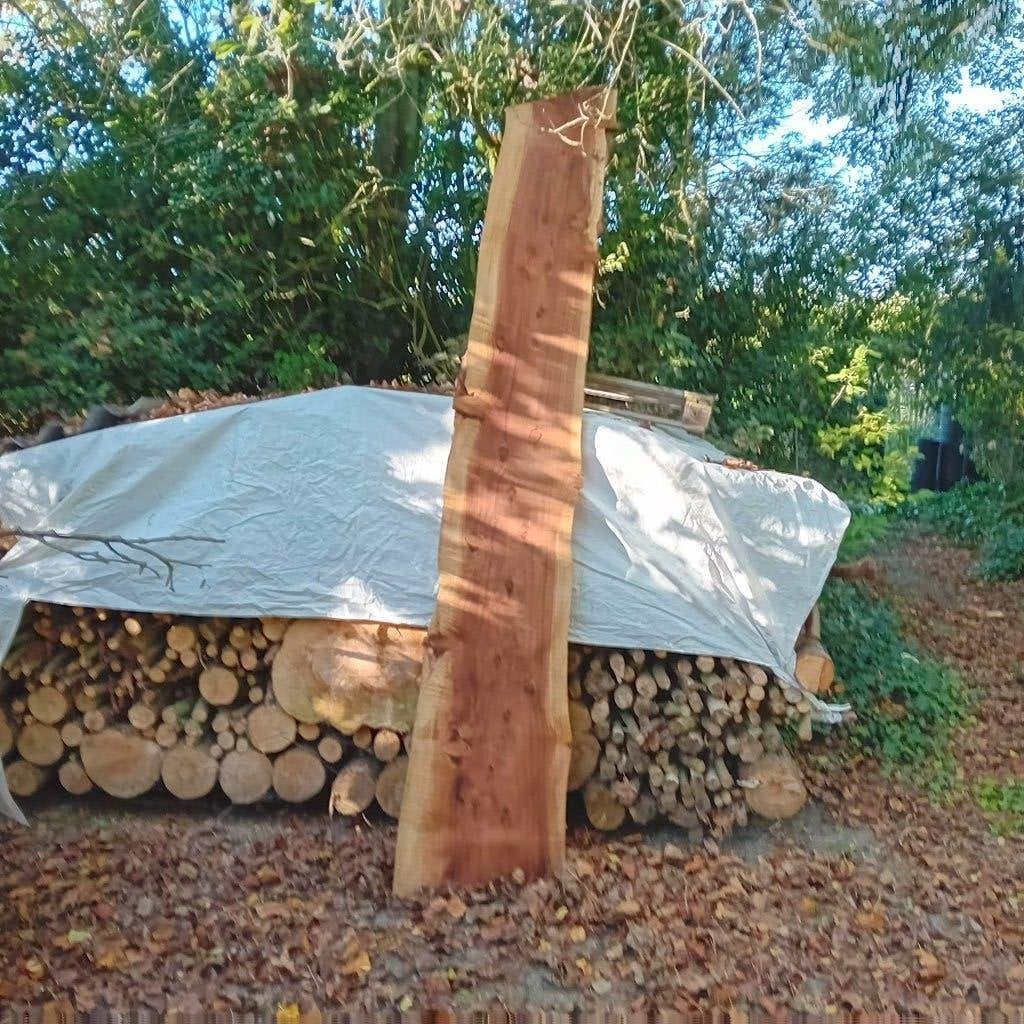 Sequiodendron plank, Doe-het-zelf en Verbouw, Ophalen, 25 tot 50 mm, Nieuw, Plank