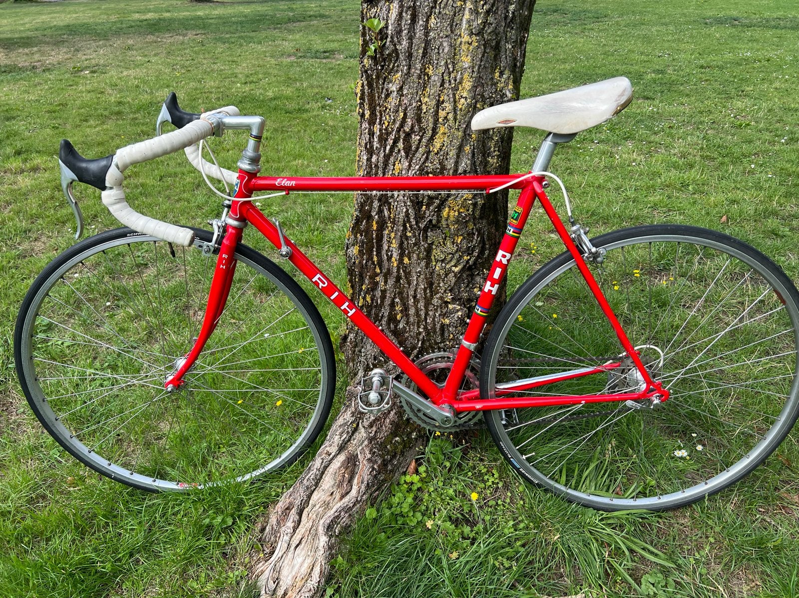 Rih racefiets Reynolds 531- klein frame- vintage klassieker, Fietsen en Brommers, Fietsen | Racefietsen, Gebruikt, Staal, Heren