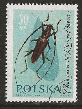 Polen 21, insect, Verzenden, Polen, Gestempeld