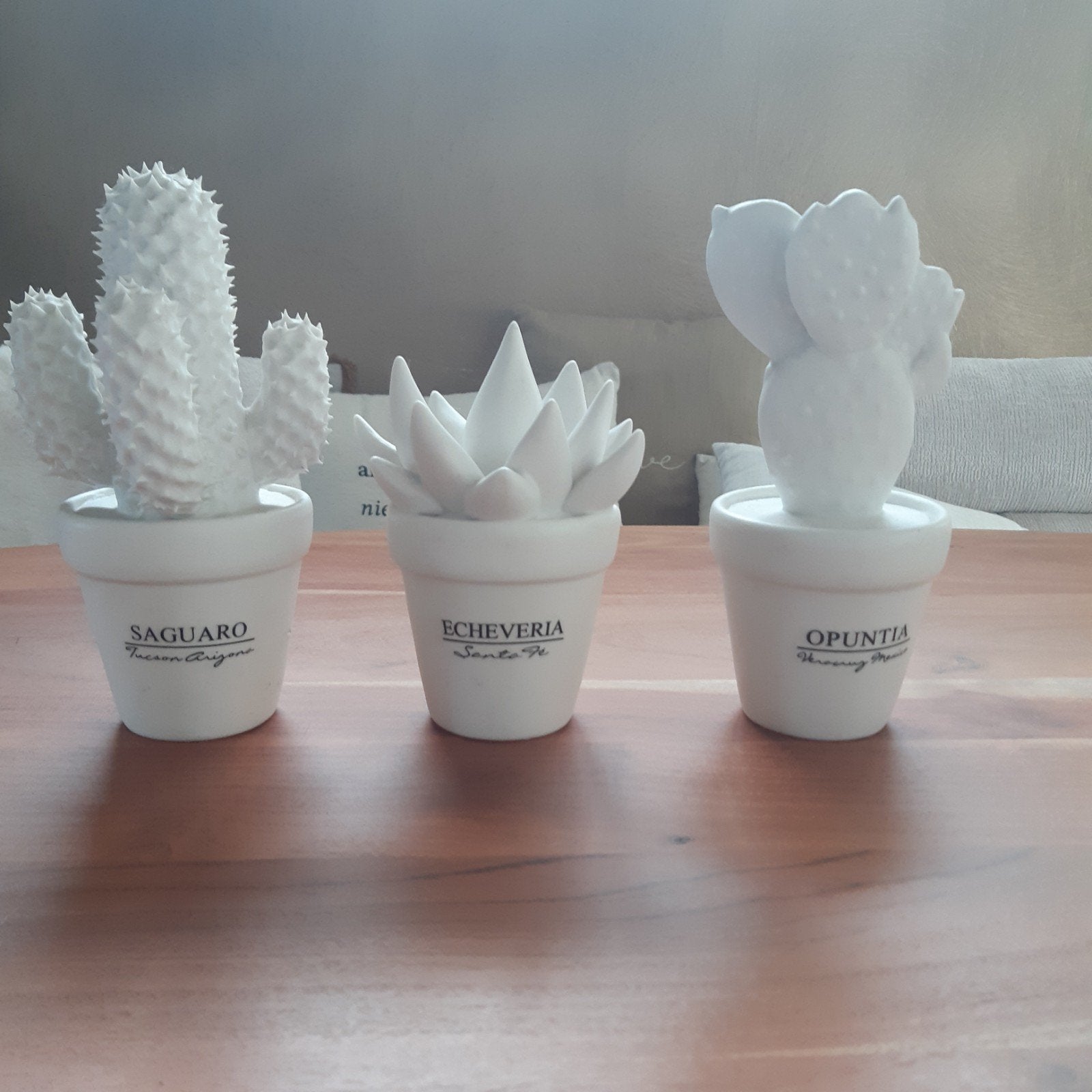 riviera maison cactussen, Ophalen