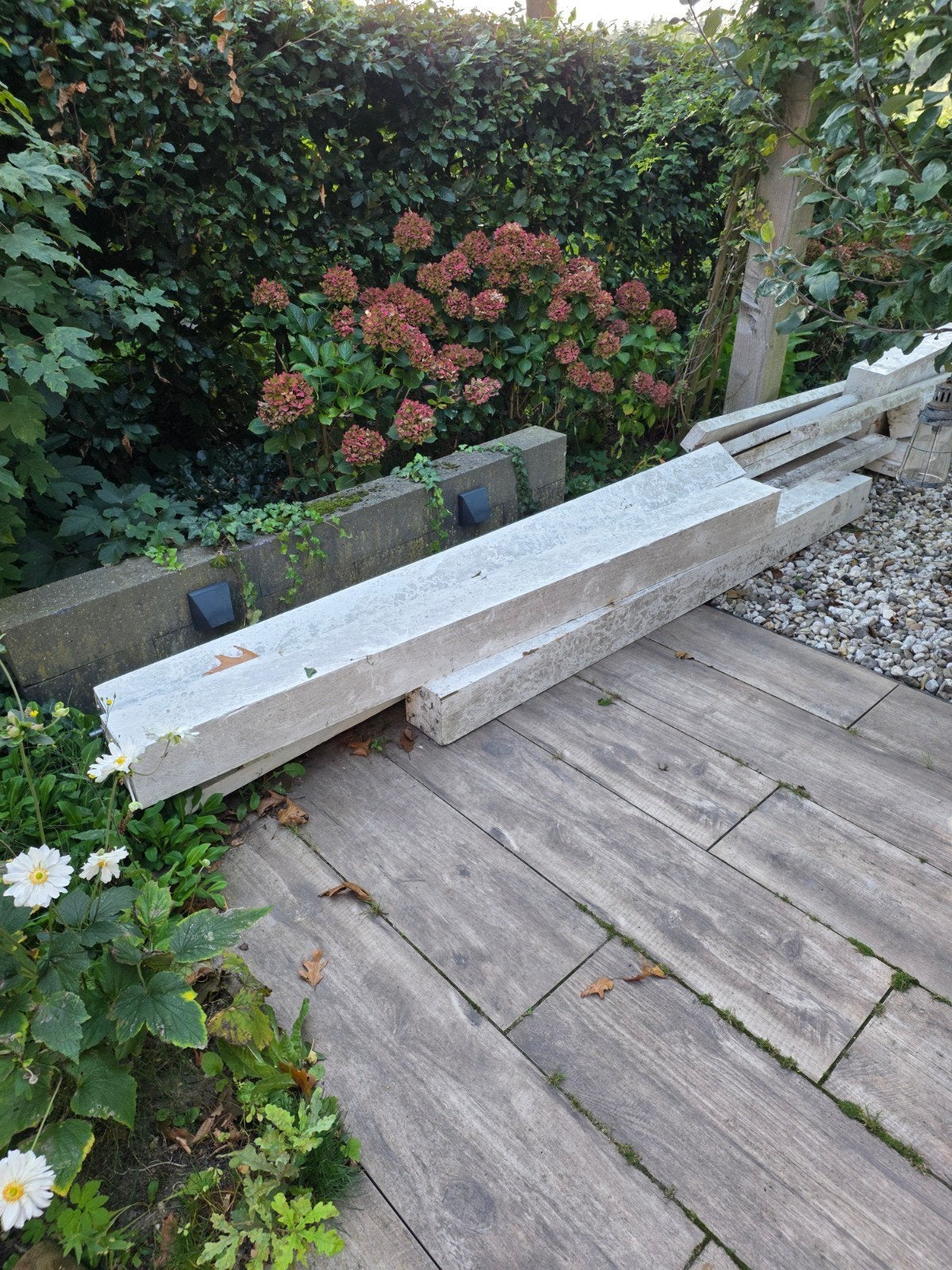 Gedemonteerde en wit geverfde pergola balken, Ophalen, Gebruikt, 250 cm of meer, Balken