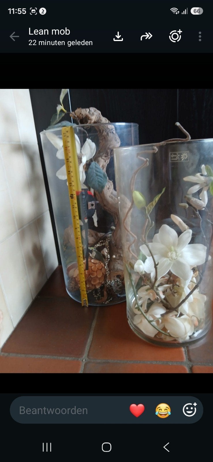 2 glazen vazen met inhoud, Ophalen, Transparant, Geschikt voor droogbloemen, Glas