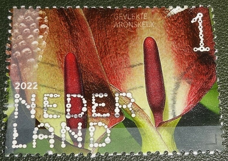 Beleef de Natuur - 4037 - 2022 - Aronskelk - PNe01-07, Postzegels en Munten, Verzenden, Na 1940, Gestempeld