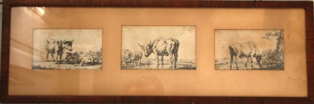 etsen vee in landschap, 1800 - 1899, Ets, Ophalen of Verzenden, 61 cm