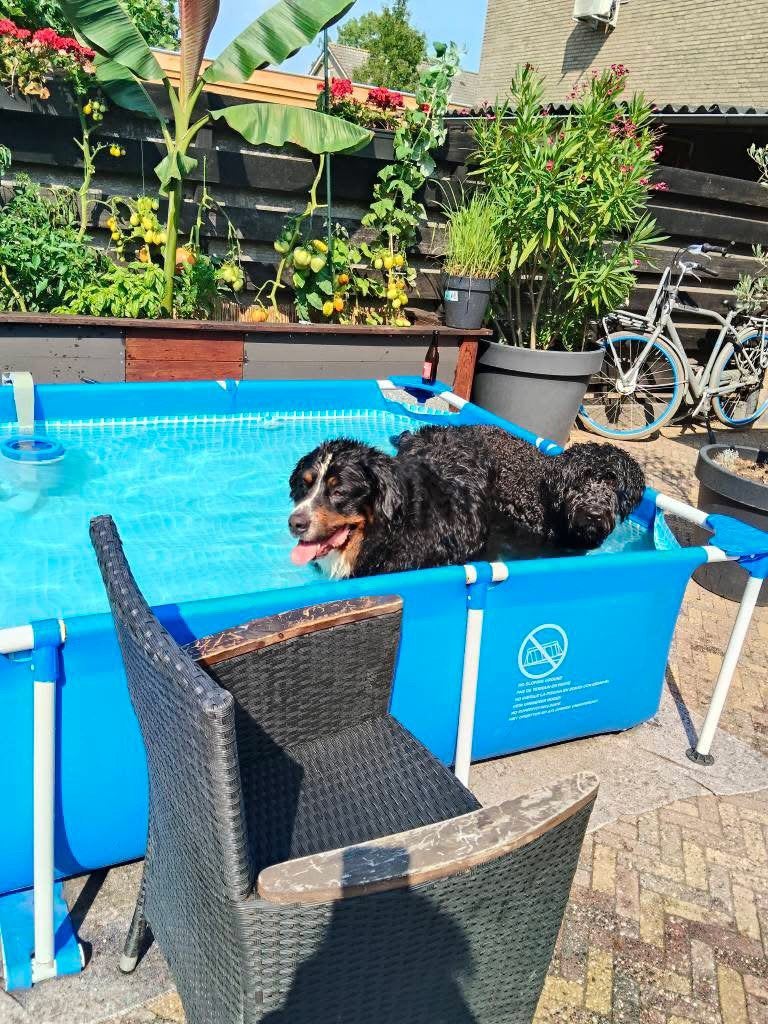 Zandfiltetpomp incl zwembad en skimmer, Tuin en Terras, Ophalen, Gebruikt, Minder dan 80 cm, Opzetzwembad
