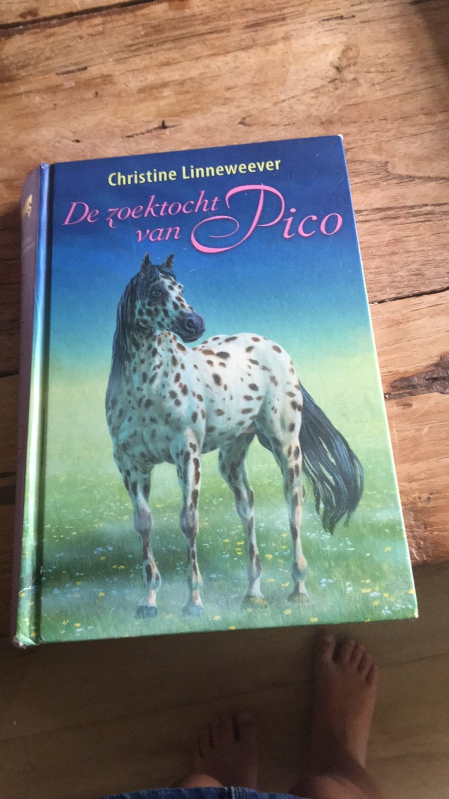 Christine Linnewever, Boeken, Ophalen of Verzenden, Gelezen, Paarden of Pony's, Christine Linnewever